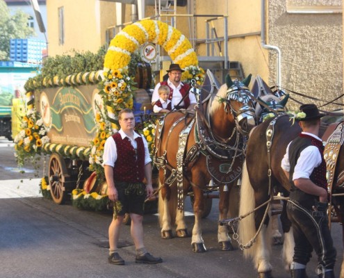 Sechs Kaltblüter ziehen den Bierwagen.