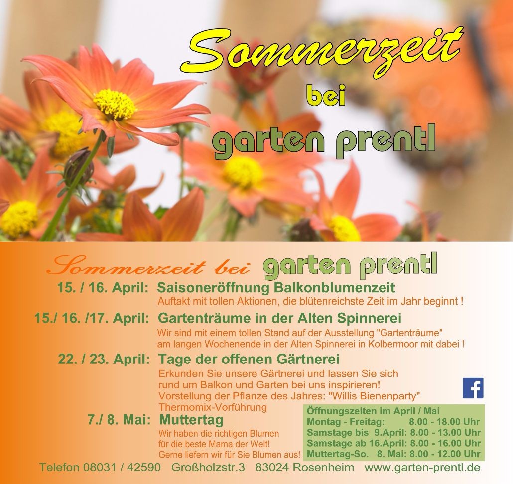 Sommerprogramm 2016